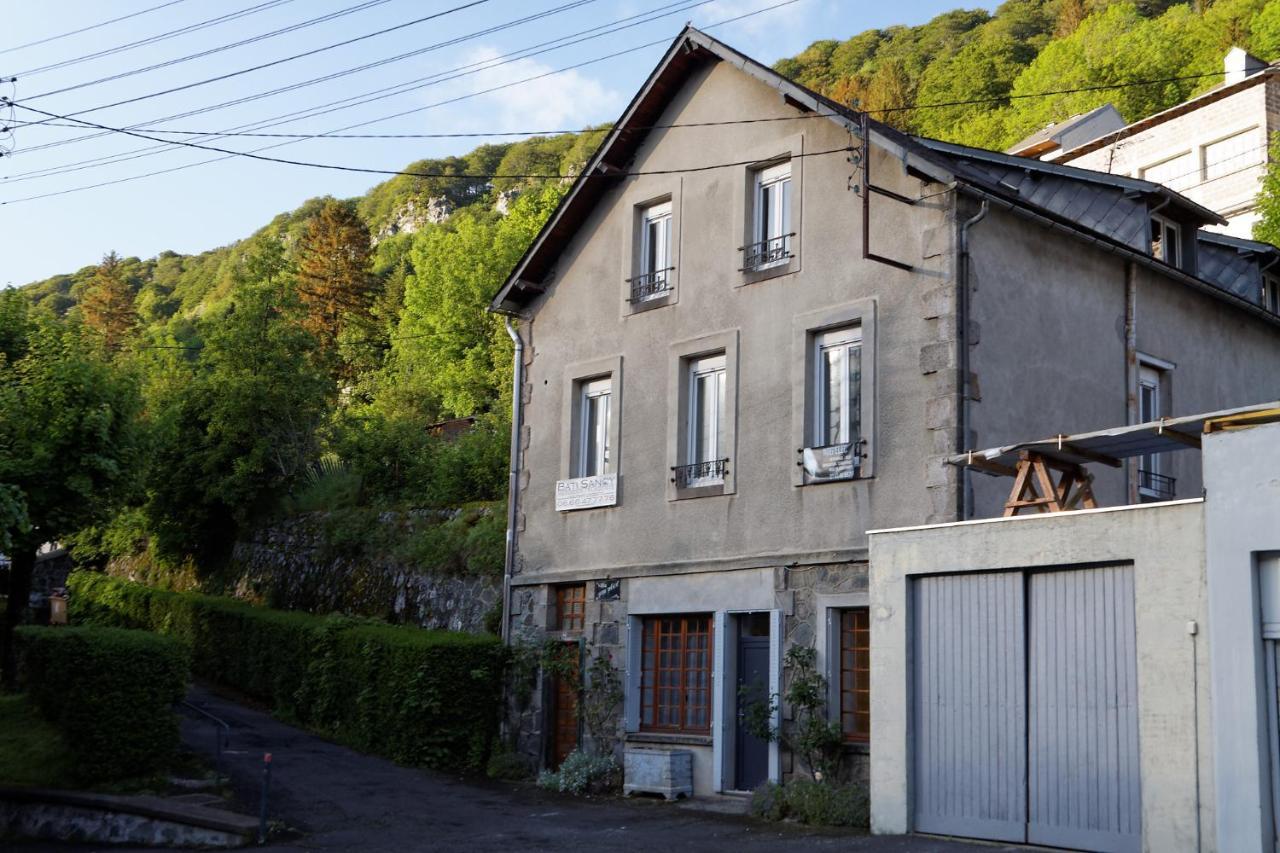 Villa Jean Julien - Le Sancy - Appartement T3 - 65M2 - 8 Personnes Le Mont-Dore Εξωτερικό φωτογραφία