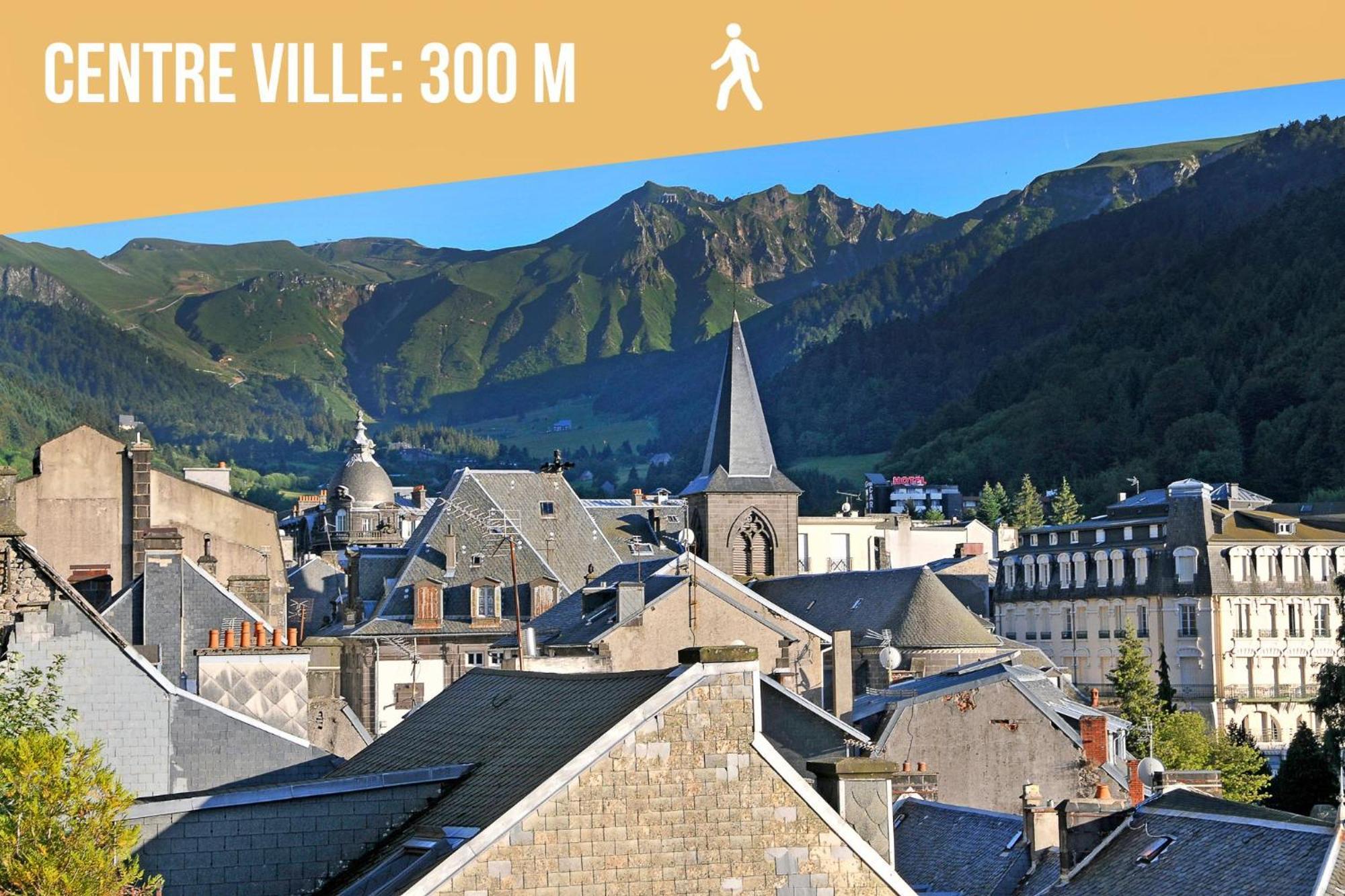 Villa Jean Julien - Le Sancy - Appartement T3 - 65M2 - 8 Personnes Le Mont-Dore Εξωτερικό φωτογραφία